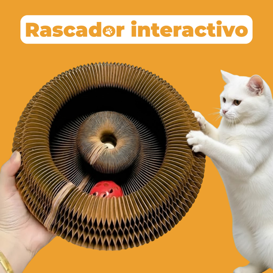 Rascador interactivo para gatos