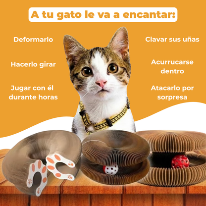 Rascador interactivo para gatos