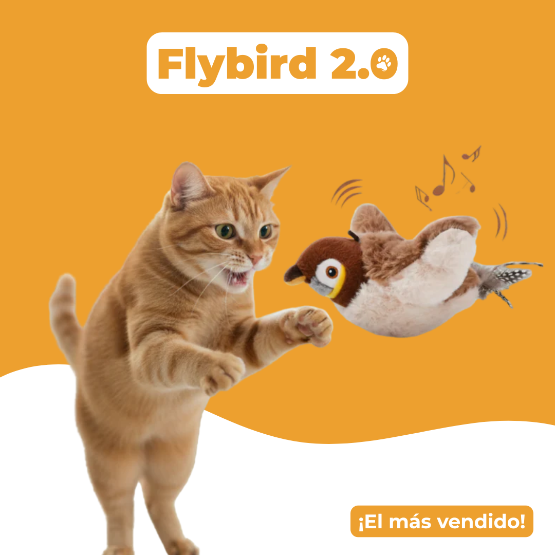 FlyBird 2.0