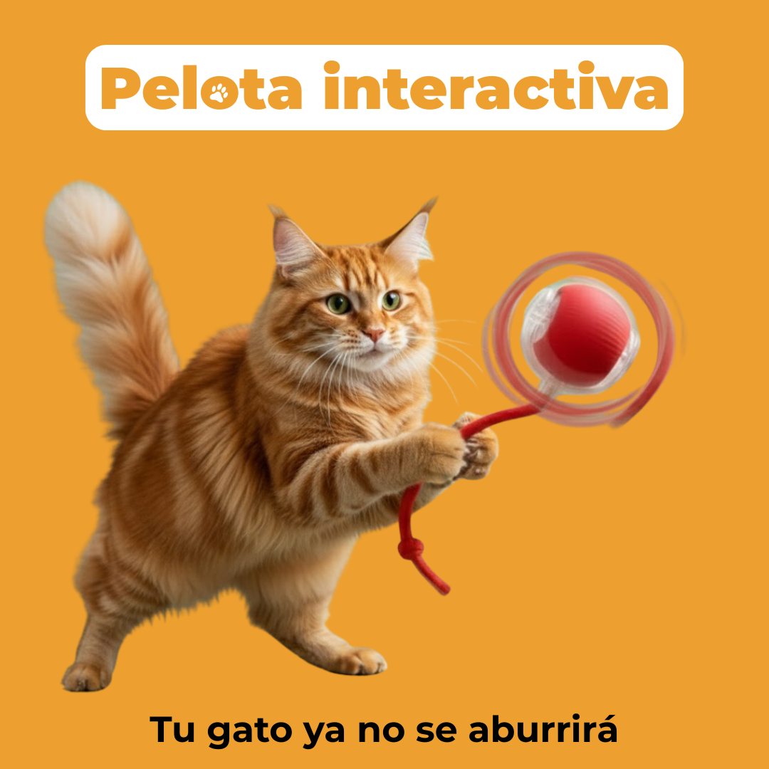 Pelota Interactiva