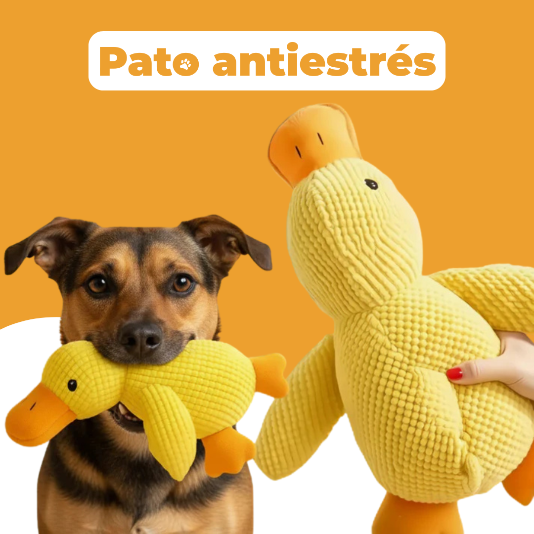 Pato antiestrés
