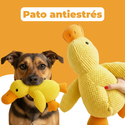 Pato antiestrés