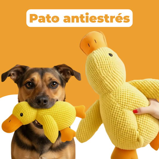 Pato antiestrés